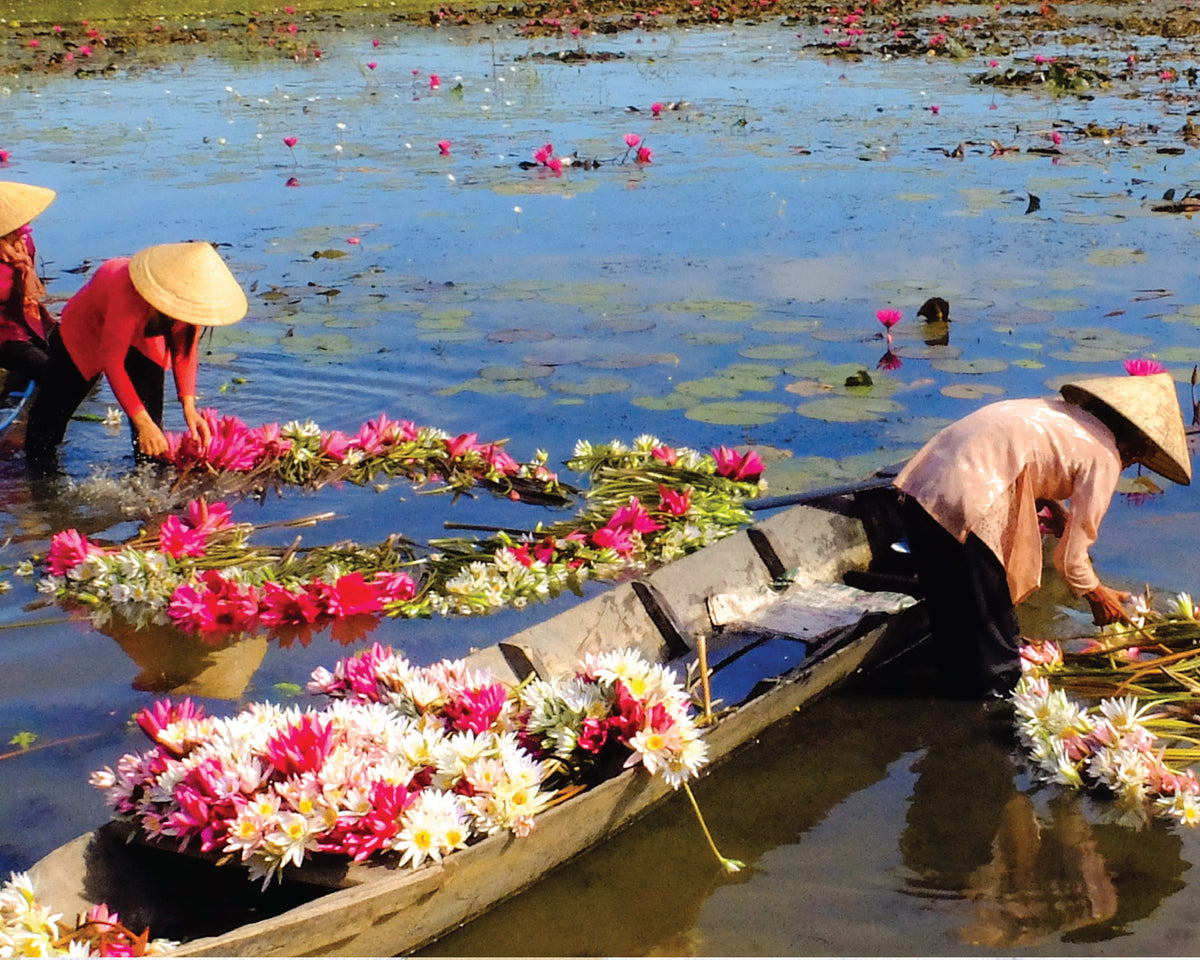 From Art To Skincare, The Lotus Flower